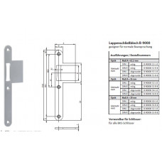 SCHLIESSBLECH-L24/28X216-ABG-FA