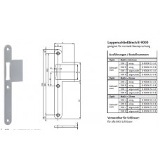 SCHLIESSBLECH-L24/36X216-ABG-FA